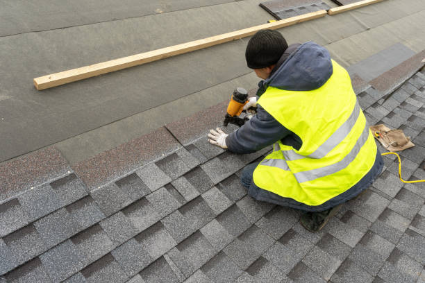 Best Roof Gutter Cleaning  in Union City, OH